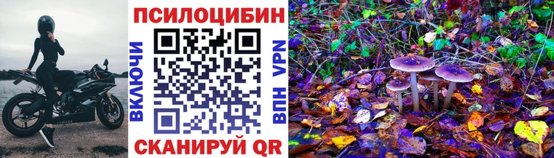 это какой сайт  купить  цена  omg ONION  Сельцо  Псилоцибиновые грибы Psilocybe 